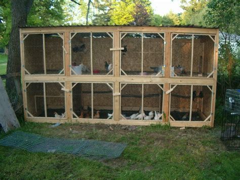 Img Chicken Cages Raising Backyard Chickens Chickens