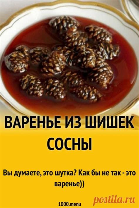 Пин содержит это изображение: Варенье из сосновых или еловых шишек ре ...