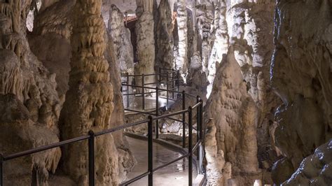 La Grotte De Postojna Le Parc De La Grotte De Postojna Bienvenue