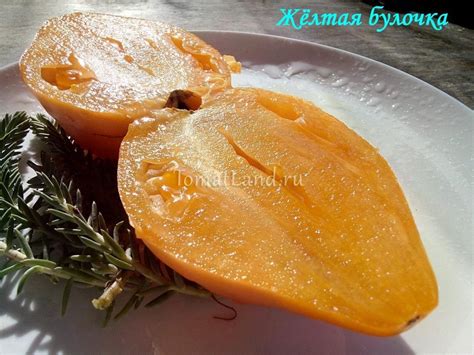 Томат Желтая булочка: описание сорта, отзывы, фото | tomatland.ru