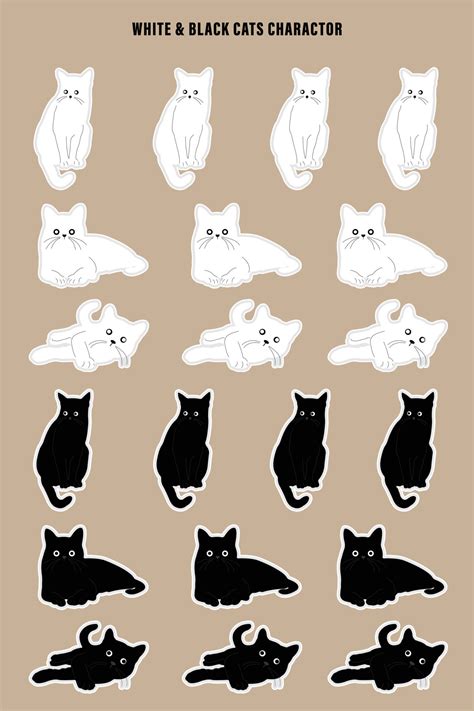 male names for black and white cats 7