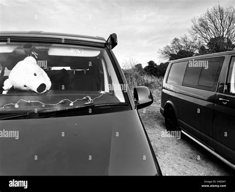 Van Vans Black And White Stock Photos And Images Alamy