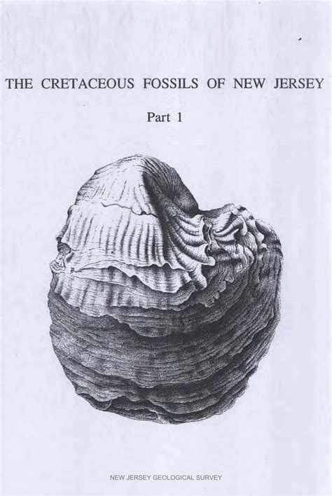 Njgs Bulletin 61 I The Cretaceous Fossils Of Nj State Of New