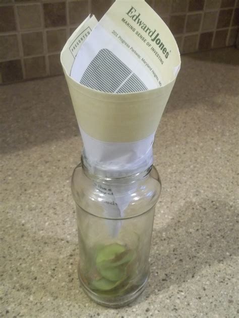 Best Diy House Fly Trap Tvorimzvlny