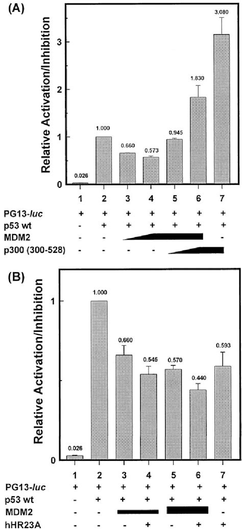 Figure 1 from Protein to Down-regulate Transcriptional Activity of P53 ...