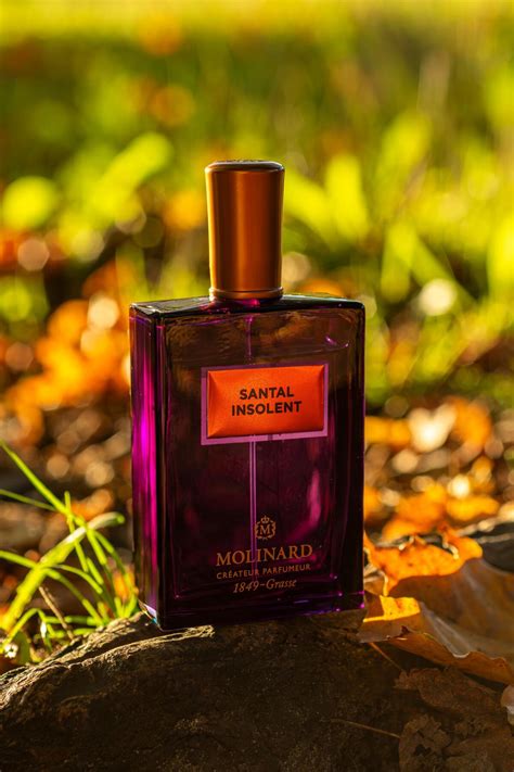 Santal Insolent Molinard perfume - a fragrance for women and men 2020