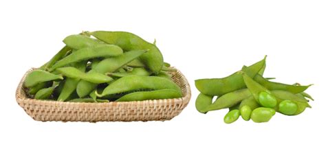 Edamame Background Png Transparent Images Free Download Vector Files