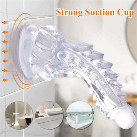 Jelly Dong Dildo Suction Cup Bad Dragon Sex Toys For Women Inch Ebay