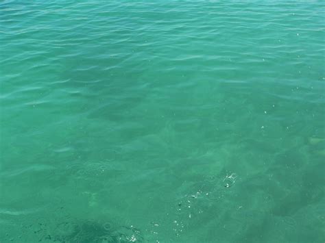 Green sea | Green sea, Green, Ocean