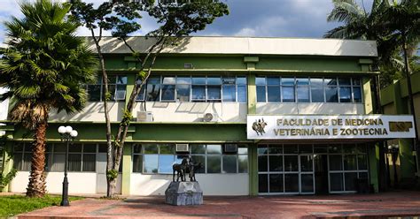 Medicina Veterinaria Faculdade Publica - Faculdade de Medicina Veterinária da USP recebe certificação ouro ...