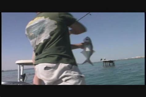 Slender Blonde Candi Apple Gets Her Butthole Stuffed With Hard Dick From Amateur Anal Attempts