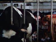 Naked Uschi Stiegelmaier In Der Ostfriesen Report