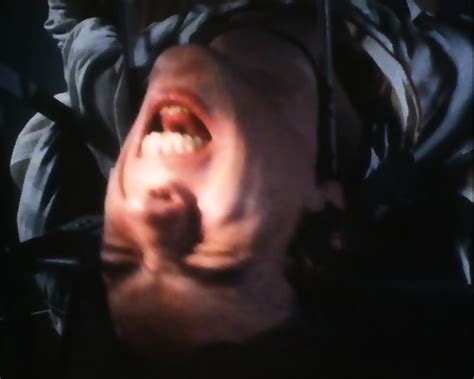 Les Minets Sauvages Gay Movie