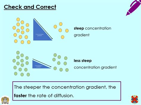 Aqa Gcse Rate Of Diffusion Temperature Practical Teaching Resources