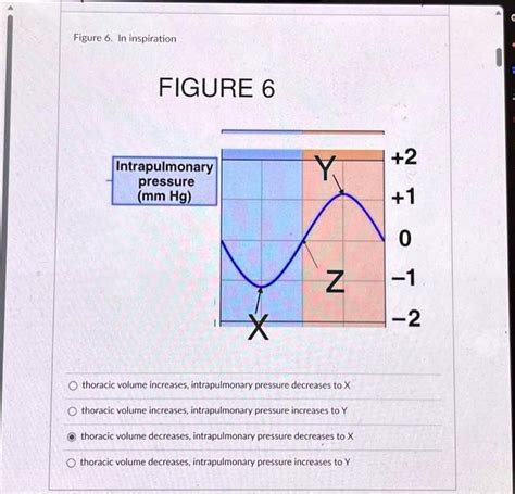 SOLVED: Figure 6. In inspiration FIGURE 6 +2 Intrapulmonary pressure ...