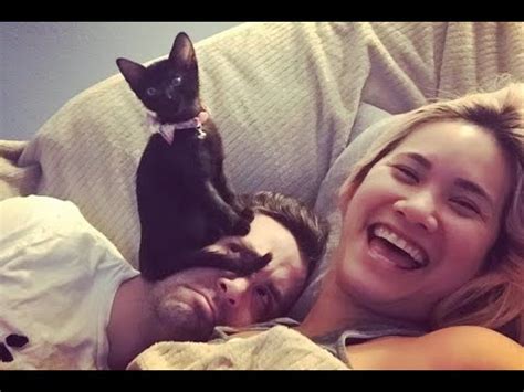 🐈 Знай свое место, чувак! 🐕 Смешное видео с кошками и котятами для ...