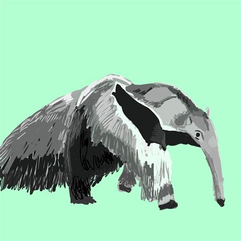 Anteater Moment on Tumblr