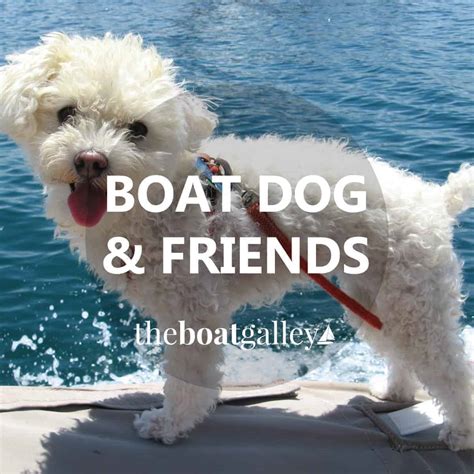 how to get dog in boat minecraft