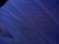 Naked Macarena Gómez in Dagon