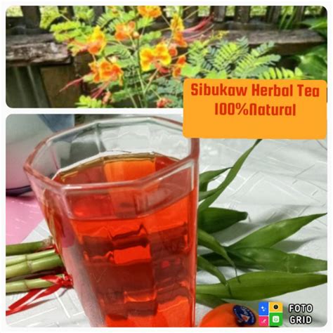 Sibukaw Herbal Tea - Miracle Woods | Shopee Philippines