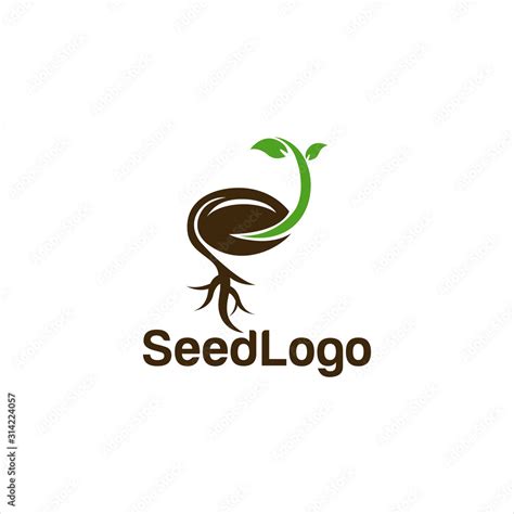 Growing Seed Logo Designs Vector Seed Stock Vector Stock Vector Adobe