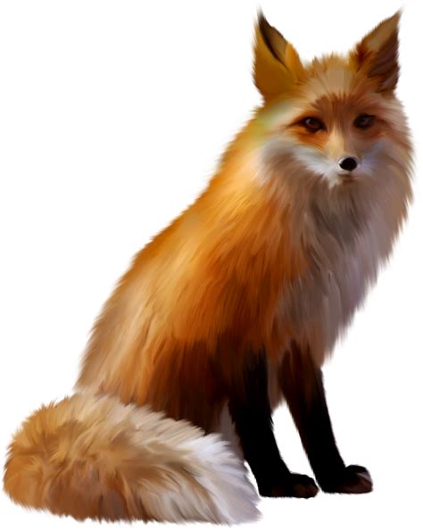 Renard