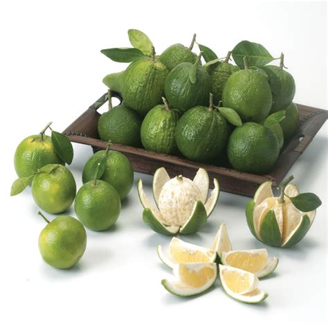 Sweet Orange – กรมส่งเสริมการเกษตร กระทรวงเกษตรและสหกรณ์