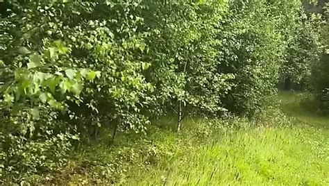 Nudenudeoutside Gay Porn Videos Sex Model Nudes XHamster