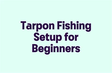 Tarpon Fishing Setup for Beginners