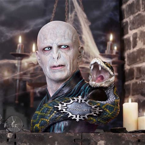 Figurine Harry Potter Lord Voldemort Tips For Original Gifts