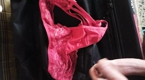 Batendo Uma Punheta Na Calcinha Usada Da Esposa De Um Amigo Gay Amateur Amateur Porn Xhamster