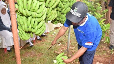 Mpm Pp Muhammadiyah Paciran Lamongan Gandeng Astra Foundation