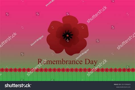 Remembrance Sunday Poppies Vector White Background Stock Vector ...