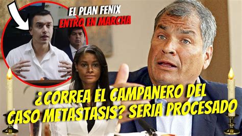 NOBOA EL PLAN FENIX ENTRO EN MARCHA CORREA FUE EL CAMPANERO DEL