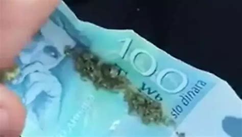 Malo Zabave U Sumi Serbian Public Nudity Amateur Porn XHamster