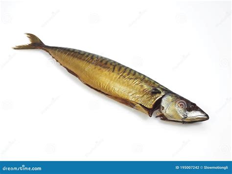 SMOKED MACKERL Scomber Scombrus AGAINST WHITE BACKGROUND Stock Photo