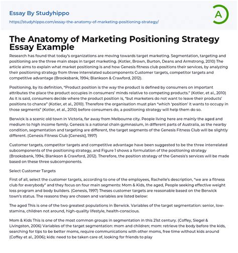 The Anatomy Of Marketing Positioning Strategy Essay Example