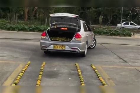 驾校教练让学员倒车入库，压到多少买多少，教练都赚大了
