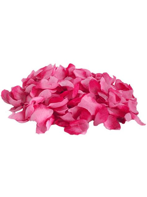 Fuchsia Rose Petals Pink Princess