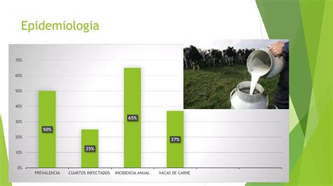 Mastitis Bovina Ppt