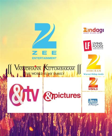 BHAVIKK SHAH's BLOG: ZEE ENTERTAINMENT ENTERPRISES LTD: BETTER PLACED ...