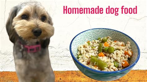 The Best Homemade Dog Food Recipe: Just 3 Ingredients! - YouTube