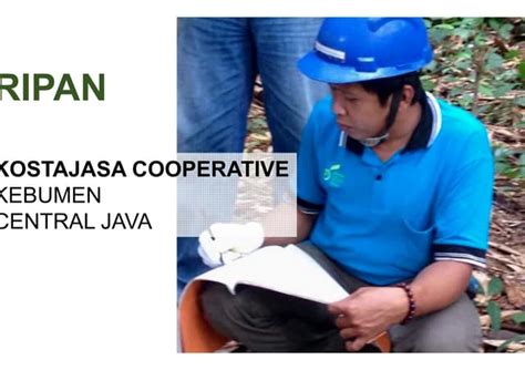 Timber Farming In Central Java Ppt