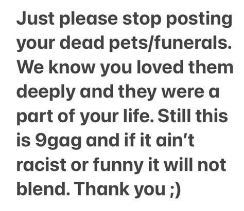 The Amount Of Dead Pets In The Comments Is Expected To Skyrocket 9GAG