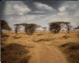 Sticker De Exumore Sur Boy Kisser Femboy Meme Nature Chat Gay Trap Blush Cat You Like Kissing