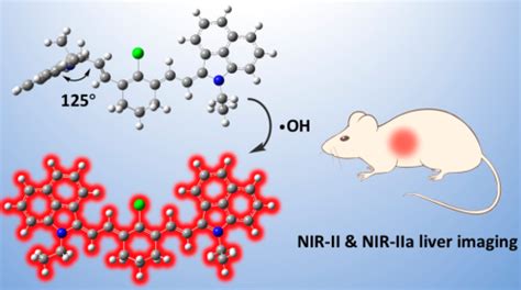 纳米人 Anal Chem可激活的近红外II区荧光探针用于无创地对羟基自由基成像