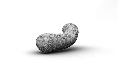 3d Gummy Candy On Behance