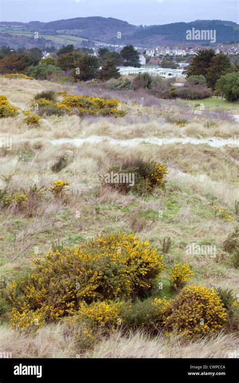 Par Beach Looking Towards Par Cornwall Uk Stock Photo Alamy