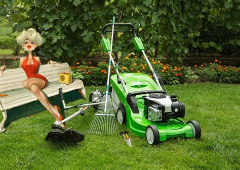 Чем быстро скосить траву на даче: подручные средства и техника для ...