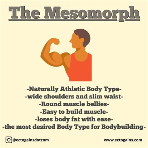 #mesomorph on Tumblr